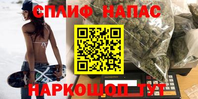 гашик Бузулук